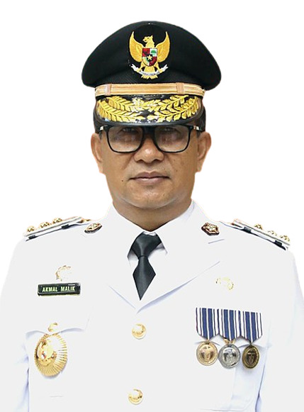 Prof. Dr. Drs. Akmal Malik, M.Si.
